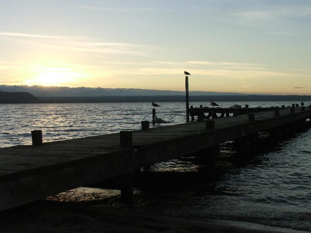 Cedarwood Lakeside Motel & Conference Venue Rotorua Eksteriør bilde